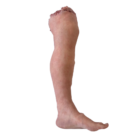 DY-0003-01