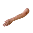 DY-0003-01