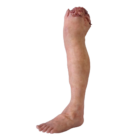 DY-0003-02