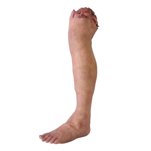 DY-0003-02
