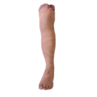 DY-0003-03