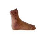 DY-0005-01