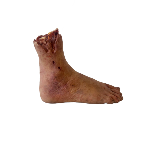 DY-0005-01