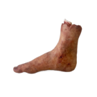DY-0005-02