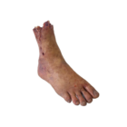 DY-0005-03