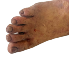 DY-0005-05