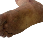 DY-0005-07