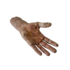 DY-0006-02