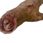 DY-0006-03