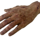 DY-0006-04