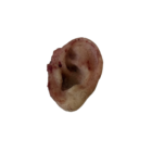 DY-0008-01