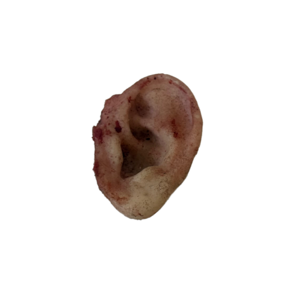 DY-0008-01