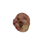 DY-0008-02
